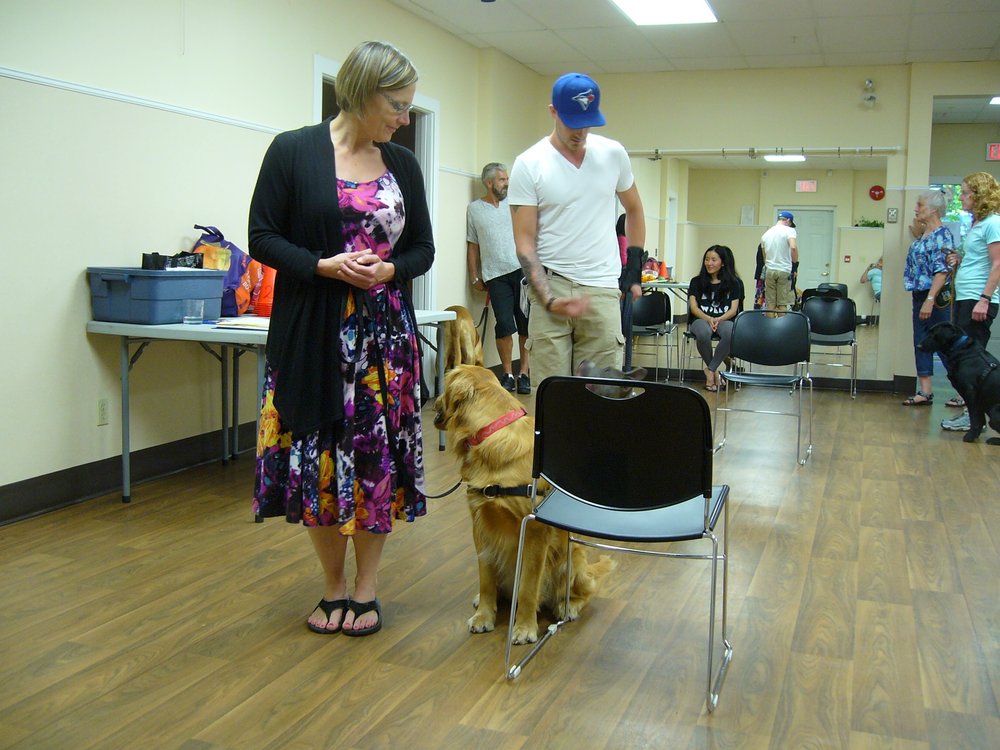 Puppy Training